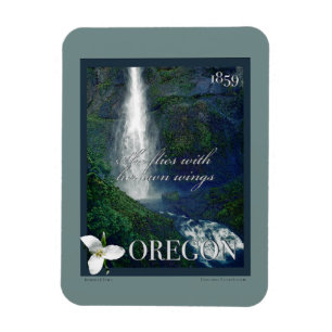 Oregon Waterfall Poster Magneet