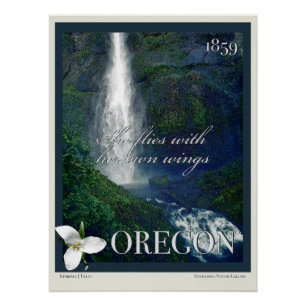 Oregon Waterfall Poster Perfect Poster