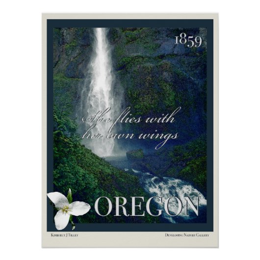 Oregon Waterfall Poster Perfect Poster (Voorkant)