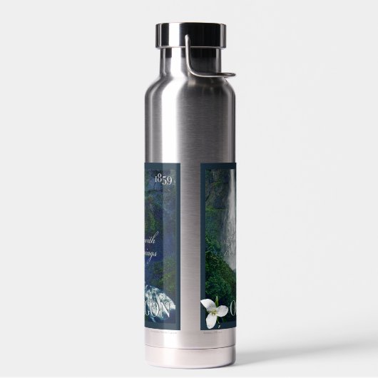 Oregon Waterfall Poster Waterfles (Links)