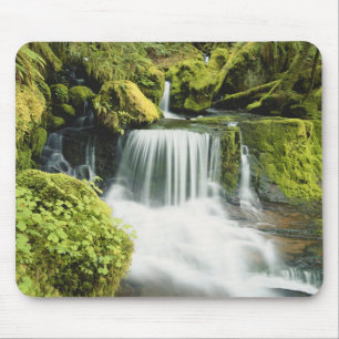 Oregon, Waterval in nationaal park Willamette Muismat