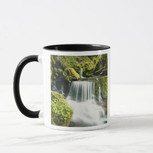 Oregon, Waterval in Willamette nationaal Mok