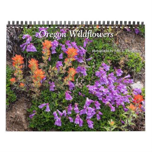 Oregon Wildflowers Kalender (Hoes)