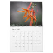 Oregon Wildflowers Kalender (Mar 2026)