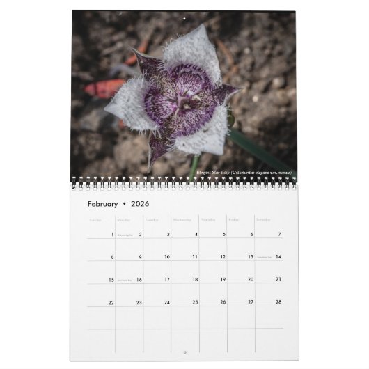 Oregon Wildflowers Kalender (Feb 2026)
