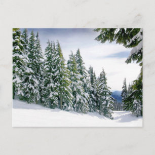 Oregon Winter Briefkaart