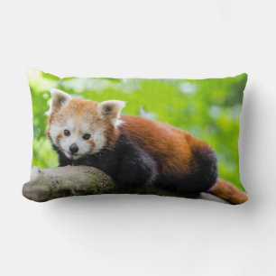 Oreiller à lancer de panda rouge