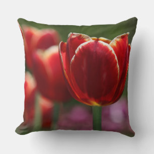 oreiller à lancer de tulipe