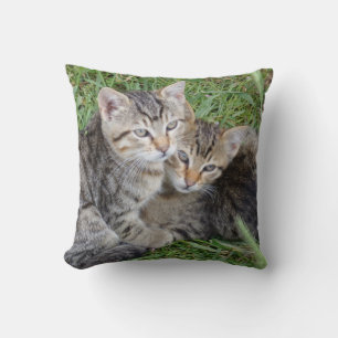 Oreiller à lancer des soeurs Tabby