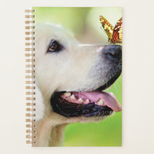 Oreiller À Lancer Du Labrador Et Du Papillon