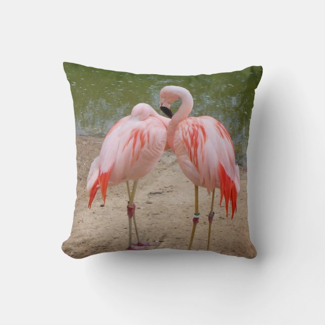 oreiller à lancer flamingo rose (Recto)