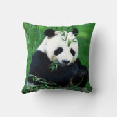 Oreiller à lancer Panda Bear (Verso)