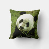 Oreiller à lancer Panda Bear (Verso)