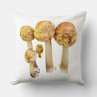 Oreiller à pousses de champignons