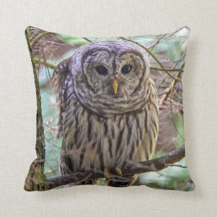 Oreiller à tête plate