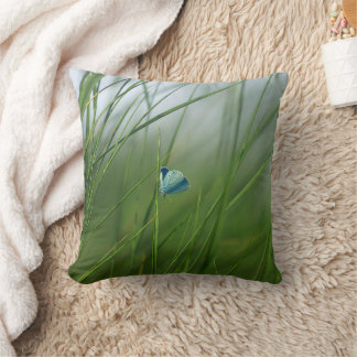 Oreiller accent papillon bleu de la nature sereine
