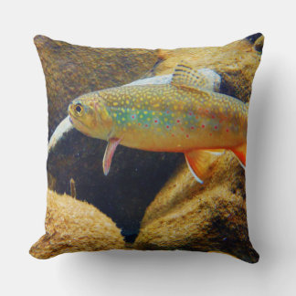 oreiller brook trout