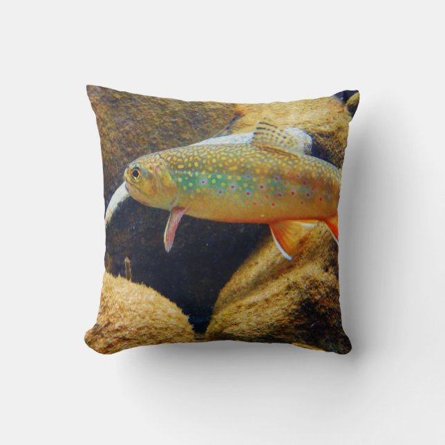 oreiller brook trout (Recto)
