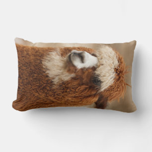 oreiller Brown Alpaca personnalisé