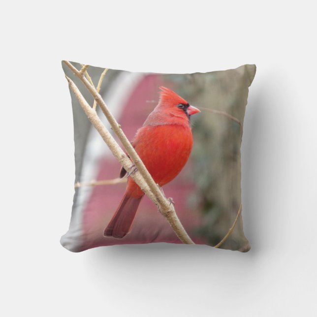 Oreiller cardinal rouge (Recto)