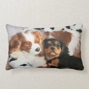 Oreiller Cavalier King Charles Spaniel Chien et Ch
