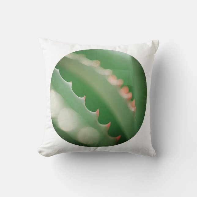 Oreiller Coussin de plante succulente verte pâle (Recto)