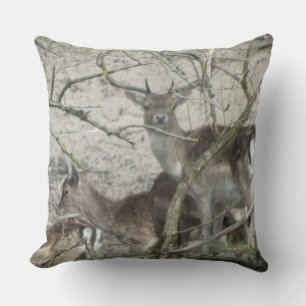 Oreiller de Daim dans la Forêt