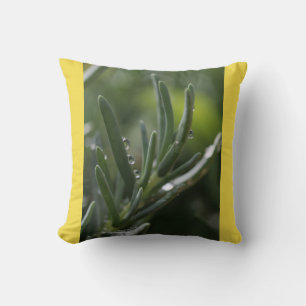 Oreiller de plante verte