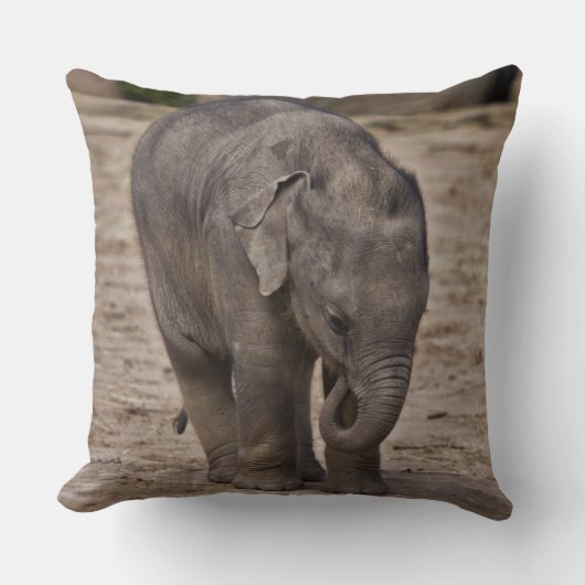 Oreiller Éléphant de Bébé (Recto)