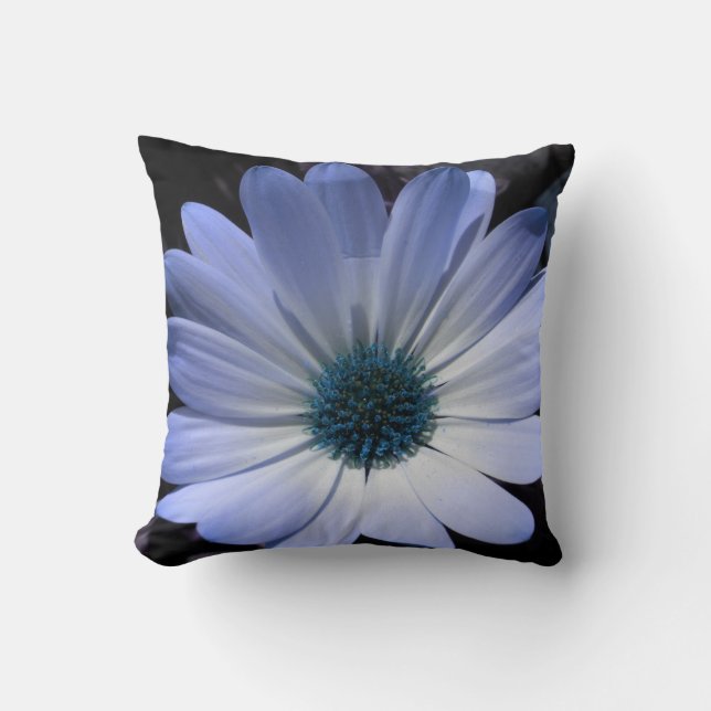 Oreiller Fleur Marguerite Bleue (Recto)