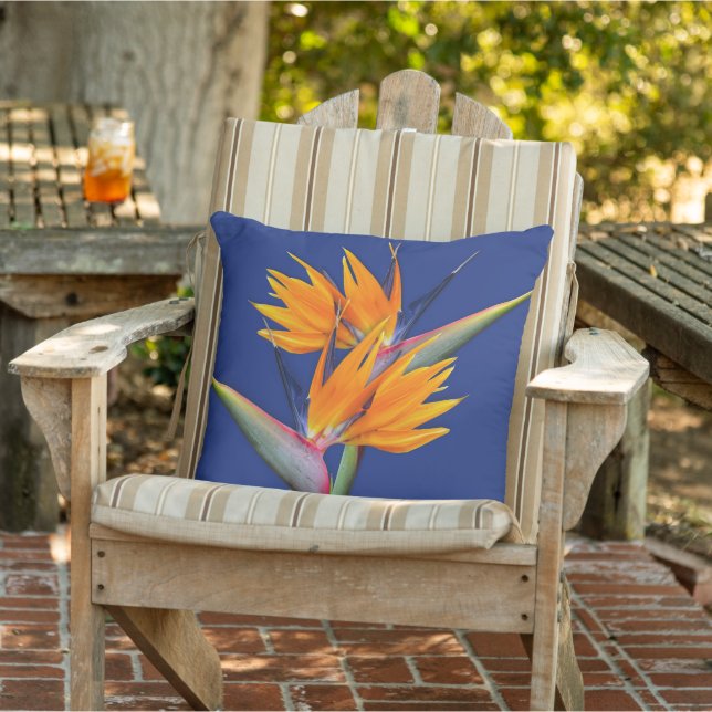 Oreiller jeté oiseau de paradis orange marine (Chaise)