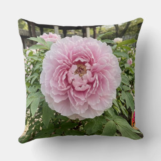 Oreiller jeté - Série florale Paeonia - Oreiller