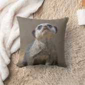 Oreiller Kute Kat (Couverture)