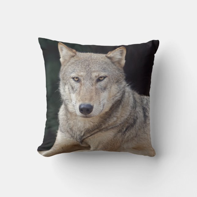 Oreiller Loup Gris (Recto)