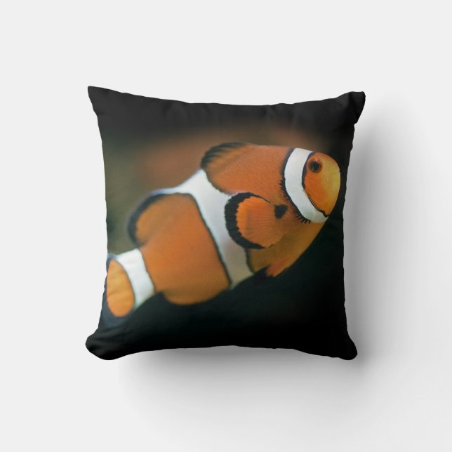Oreiller Nemo (Recto)
