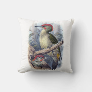 Oreiller Oiseau Pic vert d'Europe vintage