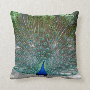 oreiller Peacock Throw