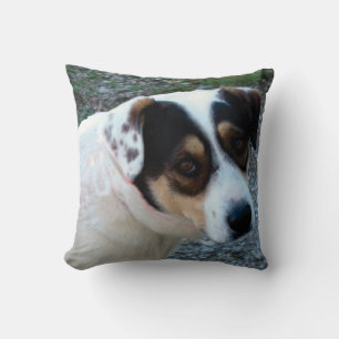 oreiller pour animal de compagnie personnalisable