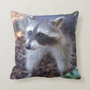 Oreiller Racoon