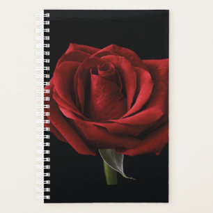 oreiller rouge