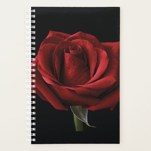 oreiller rouge (Devant)