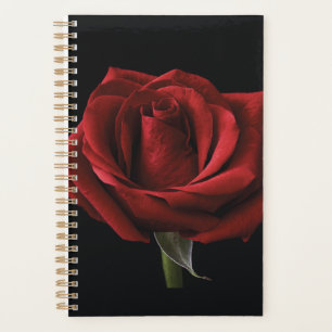 oreiller rouge