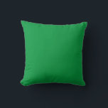 Oreiller simple couleur verte<br><div class="desc">Couleur simple rouge foncé</div>
