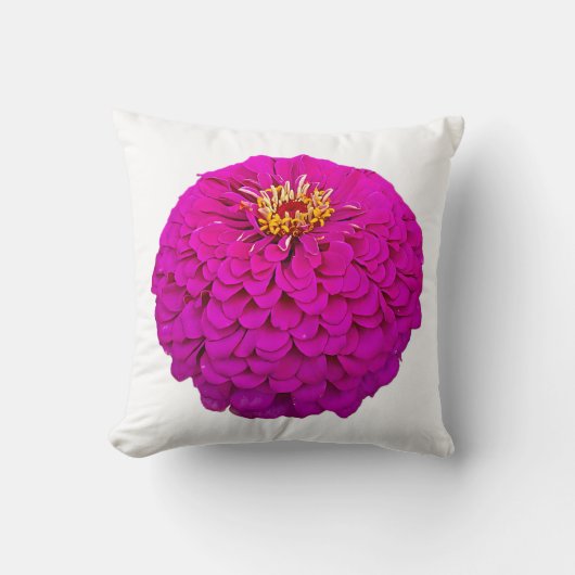 Oreiller vibrant fleur de zinnia rose (Recto)