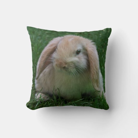 Oreiller Wascally Wabbit (Recto)