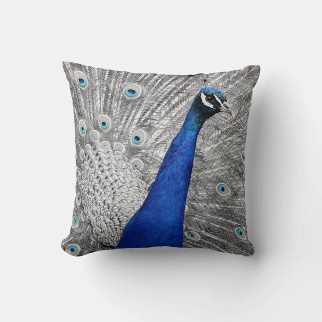 Oreillers à lancer bleu Peacock (Recto)