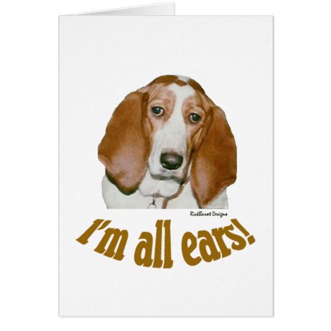 Oreilles de basset (Devant)