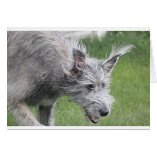 oreilles en mouvement