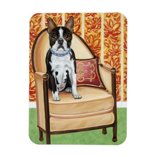 Oreo Cookie Boston Magneet