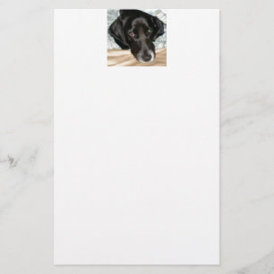 Oreo de Engelse Springer Spaniel Dog Briefpapier